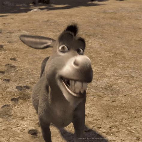 Donkey From Shrek Smiling Meme Today s disabled character of the day is ...