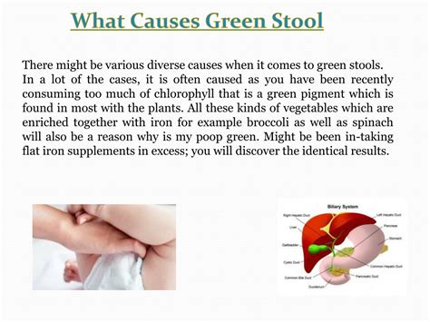 PPT - My Babys Poop Is Green PowerPoint Presentation, free download ...