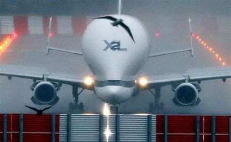 Giant Airbus Beluga plane aborts landing and is seen above Liverpool ...