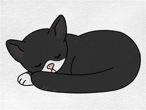 Sleeping Cat Drawing - HelloArtsy