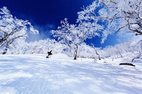 Hokkaido ski resorts-Hokkaido ski package | POWDER SKI JAPAN