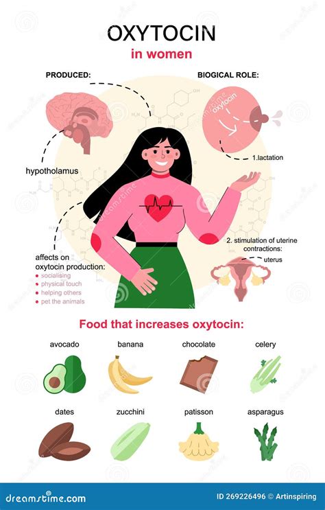 Oxytocin Hormone Infographics. Chemical Strucuture Affect on Human Stock Vector - Illustration ...