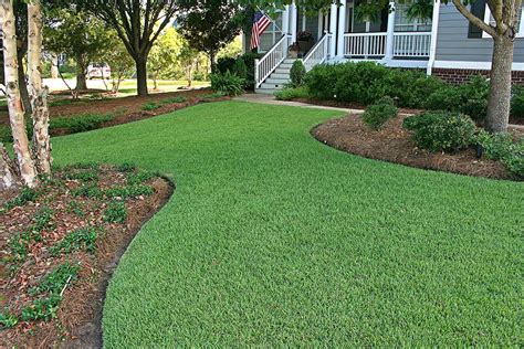 Zoysia grass for Florida Lawns - Green Earth Solutions, Inc - Lawn Care ...