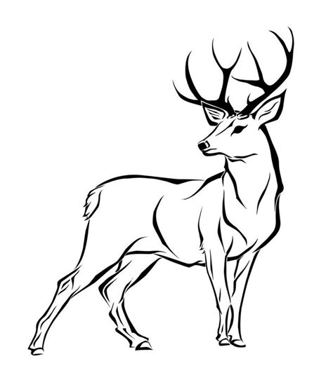 Deer Head Drawing | Free download on ClipArtMag