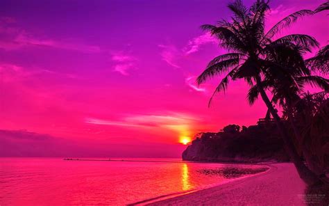 🔥 [30+] Pink Sunset Wallpapers Desktop | WallpaperSafari