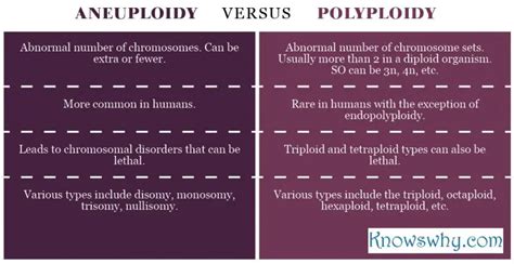 Difference between Aneuploidy and Polyploidy - KnowsWhy.com