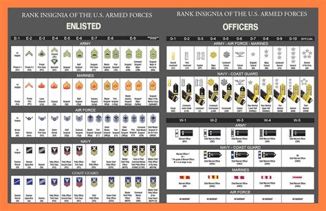 U.S. Military Rank Insignia (Enlisted & Officer) : r/coolguides