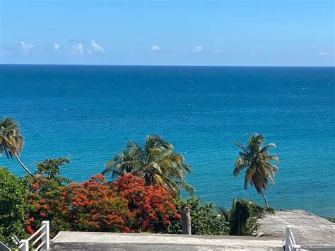 Don't miss this place if you are in Patillas or just driving through the area - Agua Salada Bar ...