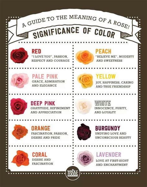 Roses and colors... | Rose color meanings, Flower meanings, Rose arrangements