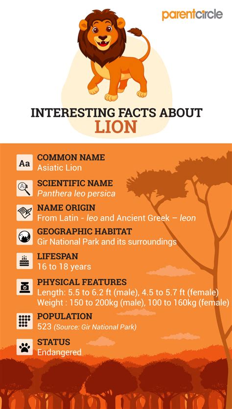 Facts About Lions Habitat