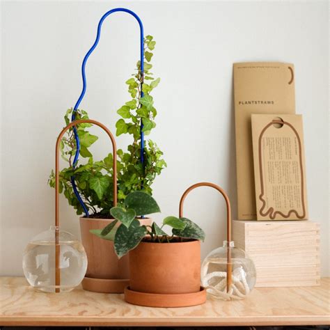 Plant Straw Brown – plantstraws