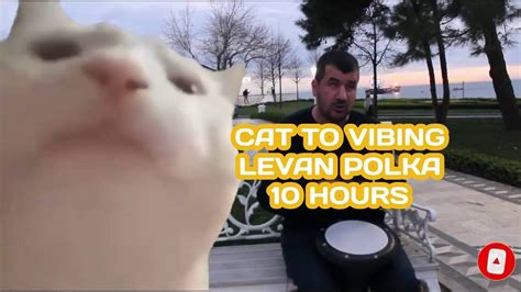 80 Vibing Cat Dancing Cat Meme Gif