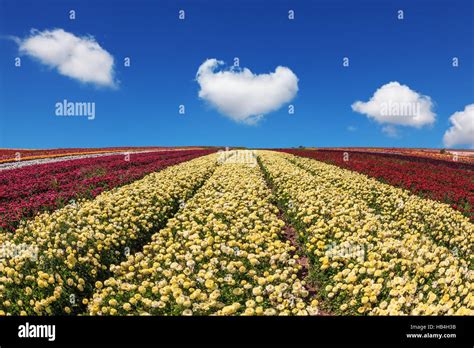 Beautiful day Stock Photo - Alamy