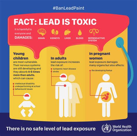 Lead Poisoning Nursing Care Planning and Management