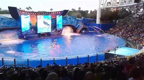 SeaWorld Orlando show - YouTube