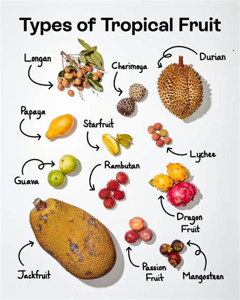 Types of Tropical Fruit | The Kitchn