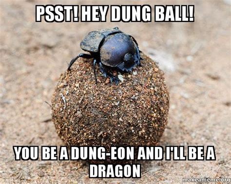 Funny Pics I Made: Dung Beetle