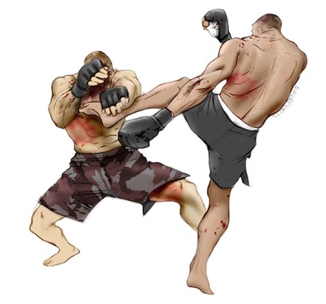 Mixed martial arts PNG, MMA PNG transparent image download, size: 736x685px