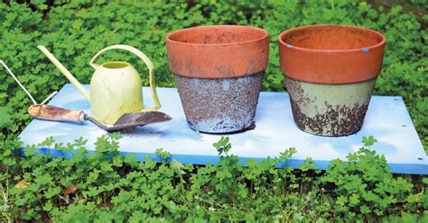 DIY: Make a garden trolley the whole family will love