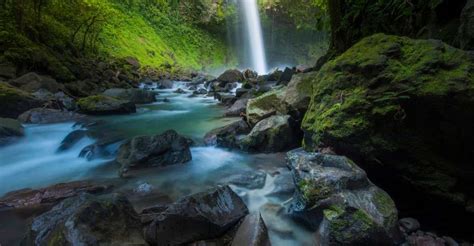 La Fortuna: Hanging Bridges and Arenal Volcano Tour w/ Lunch | GetYourGuide