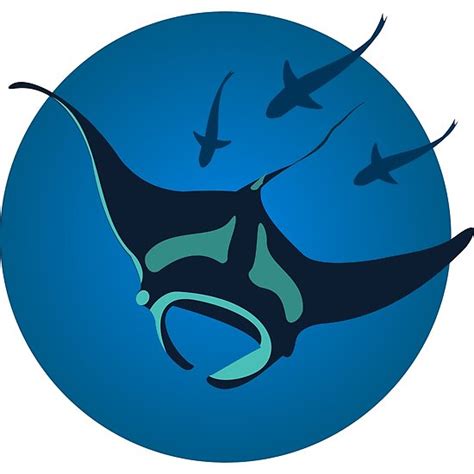 Manta Ray Vector at GetDrawings | Free download