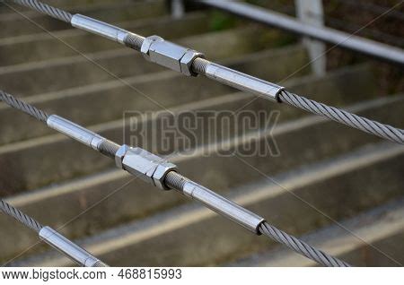 Wire Mesh Fencing Image & Photo (Free Trial) | Bigstock