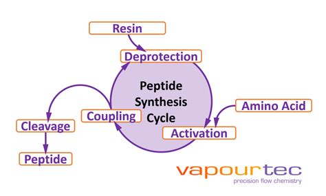 Peptide synthesis and flow chemistry - A Tube With A View