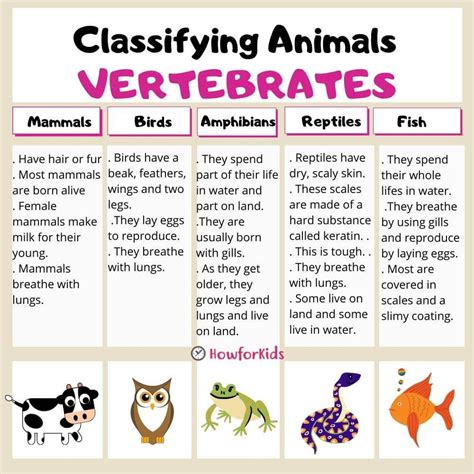 Vertebrates And Invertebrates Animals Worksheets