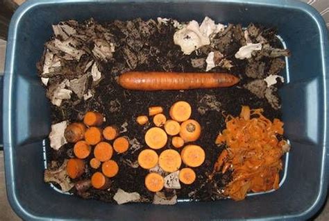 DIY Worm Composting Bin - The garden!