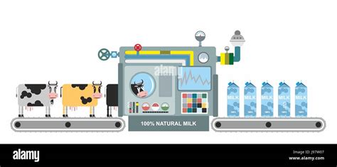 Cow Milk Production Process