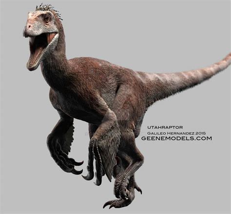 Utahraptor | Dinosaurs - Pictures and Facts