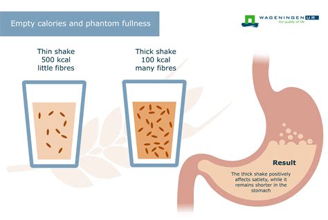 Phantom fullness: Feeling full on an empty stomach - WUR