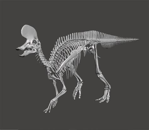 STL file Dinosaur Lambeosaurus complete skeleton・Template to download ...