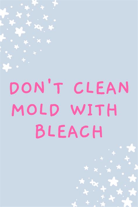 Don’t Be Cleaning Mold With Bleach