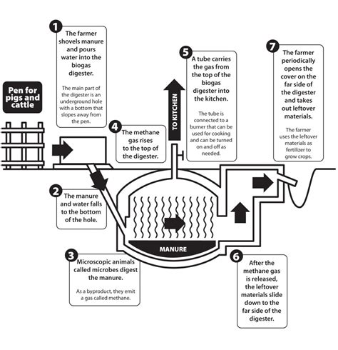 Build Your Own Biogas Generator | Heifer International