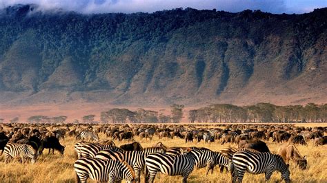 How to see the Ngorongoro Crater | National geographic photographers ...