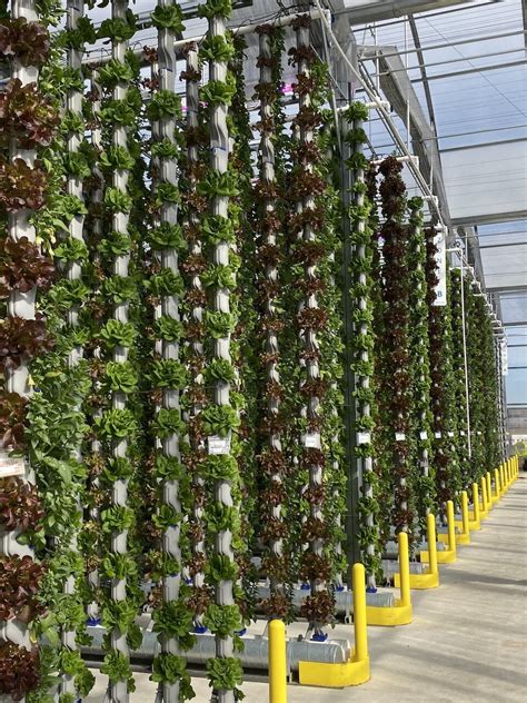 Vertical Farming & Hydroponics Greenhouses | Eden Green Technology