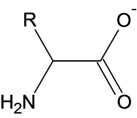 🎉 Structure of silk polymer. Unit. 2019-02-25