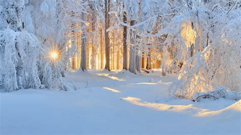 Winter Nature Wallpaper (74+ images)