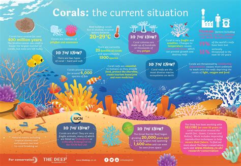 Coral Reef Ecosystem, Ocean Ecosystem, Coral Reef Biome, Facts For Kids, Fun Facts, Einstein ...