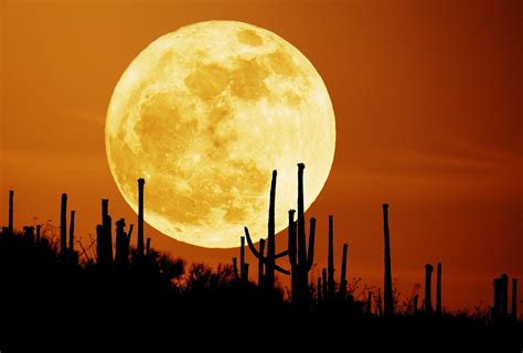 How to Watch the Super Harvest Moon Twilight Show Today