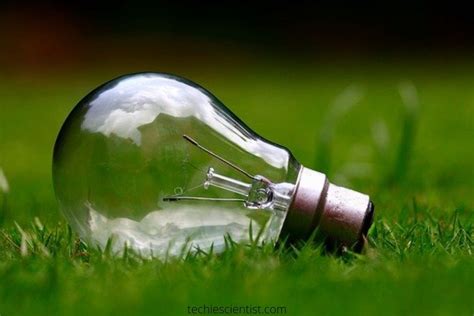 Can You Recycle Light Bulbs? - Techiescientist