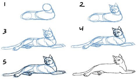 Savanna Williams: How to Draw Cat Bodies in Poses