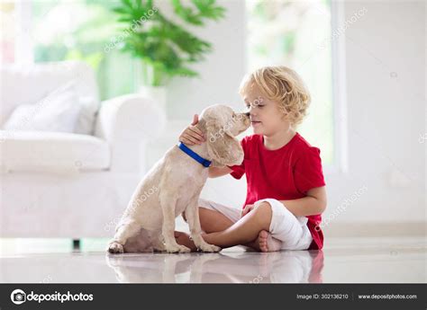 Child playing with dog. Kids play with puppy. Stock Photo by ...