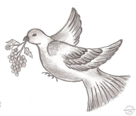 Pencil Sketch of Bird | DesiPainters.com