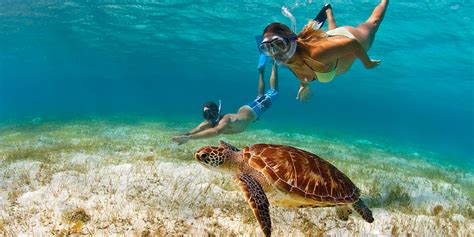 11 Best Snorkeling Spots in the Caribbean | The Moorings