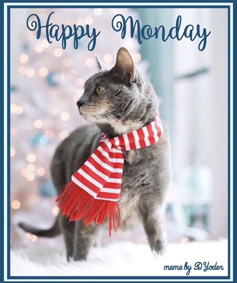 Happy Monday Images Cats