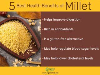 5 Amazing Benefits of Millet | Organic Facts