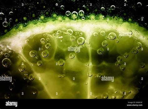 Lime slice in fizzy water Stock Photo - Alamy