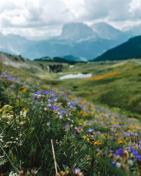 A Guide to Hiking Seceda, Dolomites | taverna travels